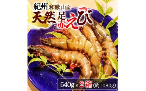 紀州和歌山産天然足赤えび540g×2箱（270g×4パック）化粧箱入 ※2025年11月末頃～2026年1月下旬頃順次発送予定（お届け日指定不可）／海老 エビ えび クマエビ 天然【uot773A】