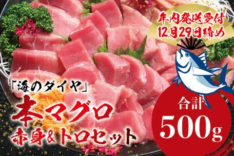 本マグロ(養殖)トロ&赤身セット 500g [12月25日〜30日に発送]高級 クロマグロ 中トロ 中とろ まぐろ マグロ 鮪 赤身 柵 じゃばらまぐろ 年内配送 年内発送 お正月 正月[nks110B-sg]