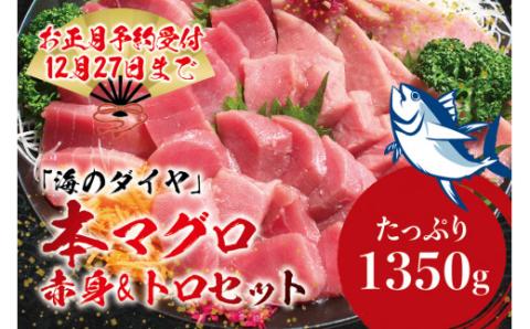 本マグロ(養殖)トロ&赤身セット 1350g [12月25日〜29日に発送]高級 クロマグロ 中トロ 中とろ まぐろ マグロ 鮪 刺身 赤身 柵 じゃばらまぐろ 本マグロ 本鮪 年内配送 年内発送 お正月 正月[nks111B-sg]