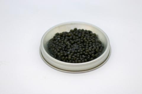 近大キャビア 10g×2個【akd003】