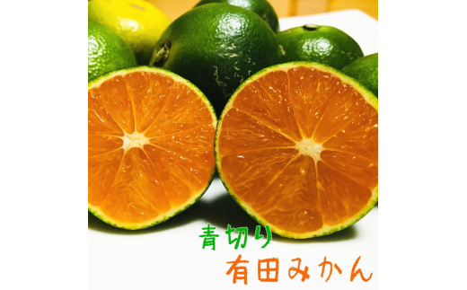 【先行予約】有田育ちのご家庭用青切り有田みかん　約7.5kg+200g(傷み補償分)【2026年9月中旬～10月上旬頃に順次発送予定】【ard146B】