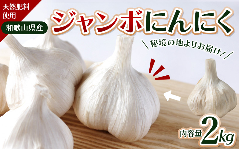 秘境の地からお届けする あゆみファームのご家庭用ジャンボにんにく 2kg【2025年7月下旬から順次発送】/ にんにく ニンニク ジャンボにんにく 予約受付 ガーリック 和歌山【aym010】