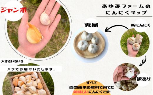 令和７年度産 秘境の地からお届けする あゆみファームのご家庭用ジャンボにんにく 5kg【7月下旬から順次発送】/ にんにく ニンニク ジャンボにんにく 予約受付 ガーリック 和歌山【aym017】