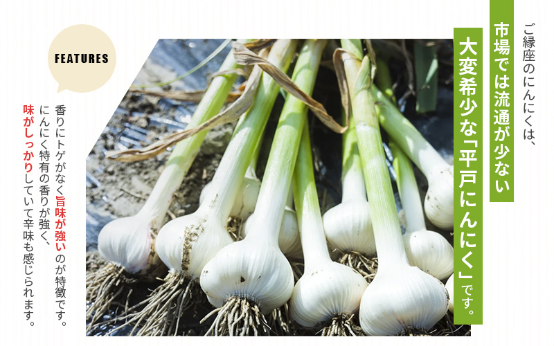 古座川町の恵みが育んだ ご縁座の乾燥にんにく 1kg / にんにく 乾燥にんにく ガーリック【gnz103A】