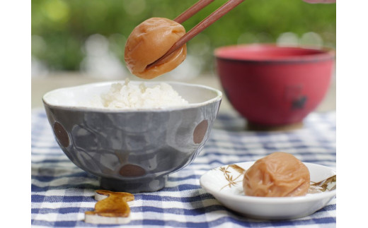 【ご家庭用】最高級紀州南高梅・大粒 食べ比べセット 1.4kg（700g×2種）　（しそ風味・うす味）【inm800-4B】