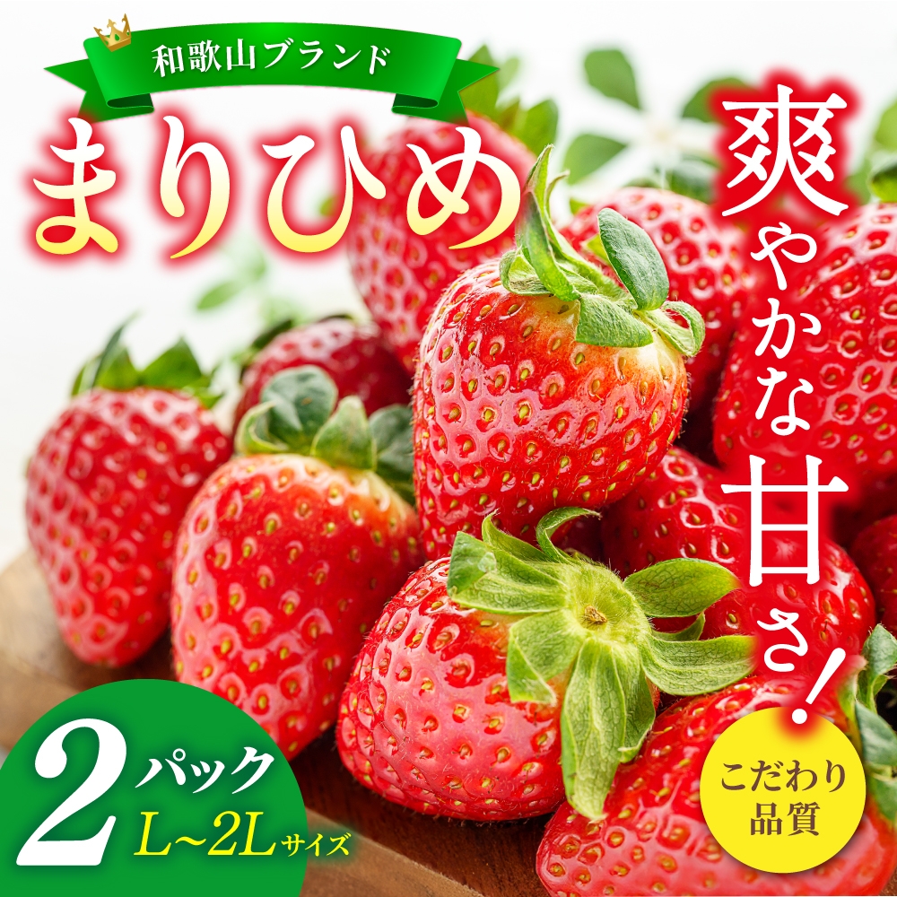 【先行予約】まりひめ いちご 12粒～15粒入り×2パック（500g）2026年1月中旬頃～2026年3月中旬頃に順次発送予定（お届け日指定不可）/ いちご 苺 まりひめ 和歌山 フルーツ 果物 くだもの【kgr007A】
