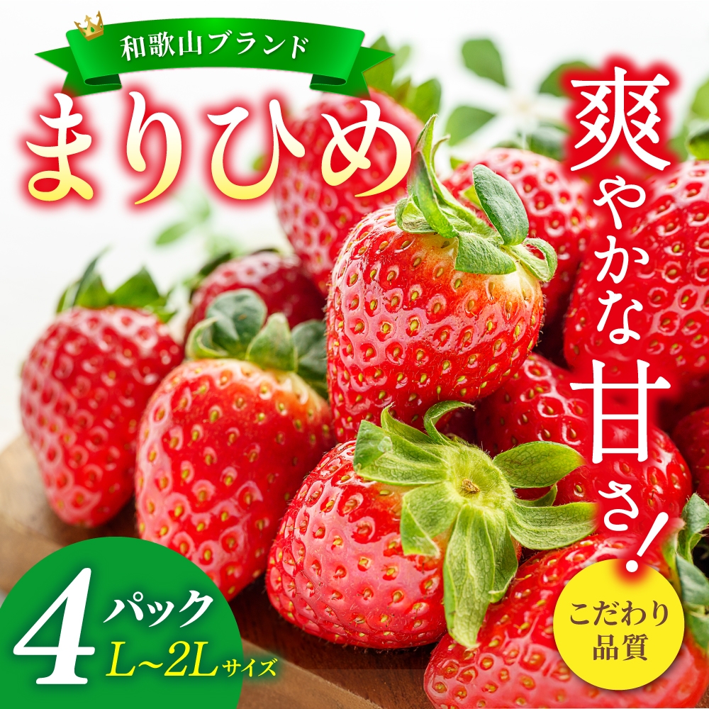 【先行予約】まりひめ いちご 12粒～15粒入り×4パック（1kg）2026年1月中旬頃～2026年3月中旬頃に順次発送予定（お届け日指定不可）/ いちご 苺 まりひめ 和歌山 フルーツ 果物 くだもの【kgr008A】
