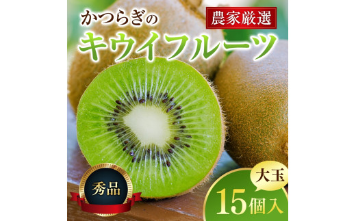 【先行予約】 先行予約！和歌山県産 秀品 キウイフルーツ 大玉15個入 こだわり農家厳選  【2026年12月中旬～2027年1月中旬頃順次発送】/ キウイ キウイフルーツ 果物 フルーツ おやつ【kgr021】