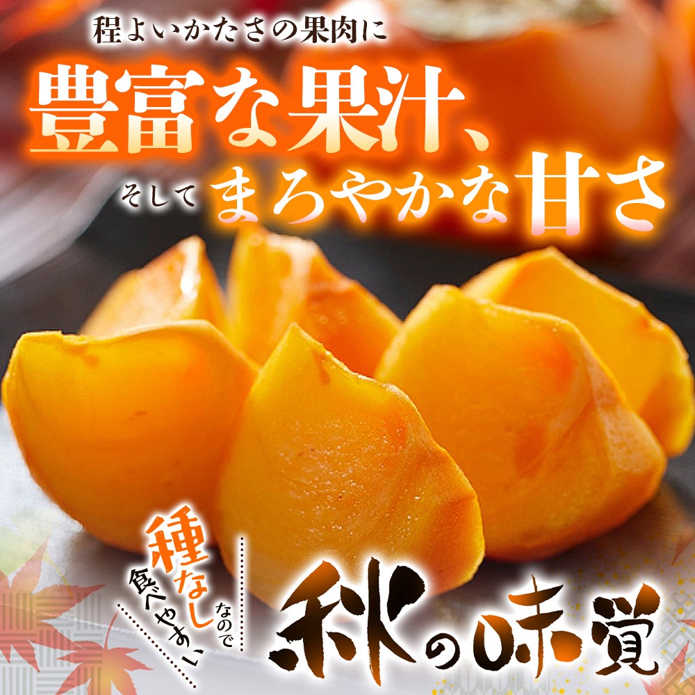 【先行予約】種無し柿 刀根早生柿 秀品大玉 約1.8kg（6個）2026年9月末頃～10月末頃に順次発送予定（お届け日指定不可）/ 柿 かき 種無し 秀品 大玉 フルーツ 果物 くだもの【kiy002A】