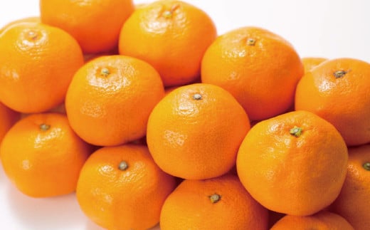 ブランド有田みかん【Ｌ】秀品10kg ／産地直送／薄皮で甘い美味しい和歌山県産／紀伊国屋文左衛門本舗　※2026年11月上旬～2027年1月中旬頃に順次発送予定（お届け日指定不可）【kztb141C】