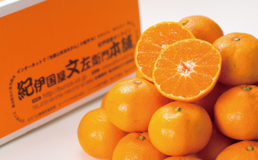 ブランド有田みかん【M】秀品10kg ／産地直送／薄皮で甘い美味しい和歌山県産／紀伊国屋文左衛門本舗　※2026年11月上旬～2027年1月中旬頃に順次発送予定（お届け日指定不可）【kztb142C】