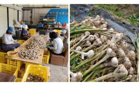 【ふるさと納税】熟成黒にんにく 400g (200g×2袋） 甘くまろやかでおいしい黒ニンニク【mnr100】