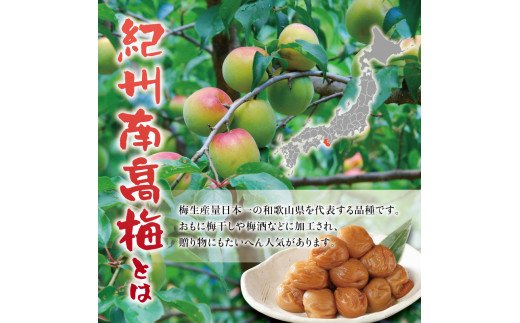紀州南高梅　＜つぶれ梅＞かつお【ハチミツ入】塩分10%（1.5kg）なかやまさんちの梅干　うめ　ウメ【nky014-215k】