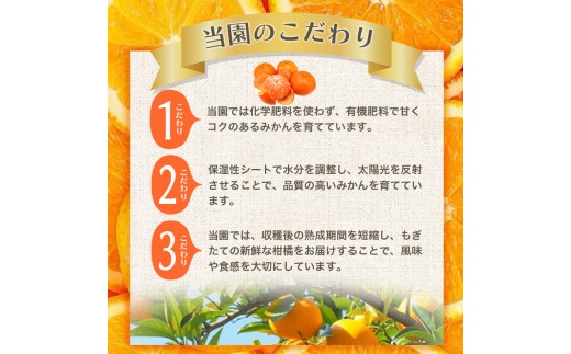 【2027年1月発送予約分】＼光センサー選別／農家直送 こだわりの有田みかん 約4kg+150g（傷み補償分） 【ご家庭用】【1月発送】みかん ミカン 有田みかん 温州みかん 柑橘 有田 和歌山 ※北海道・沖縄・離島配送不可/みかん ミカン 有田みかん 温州みかん 柑橘 有田 和歌山 産地直送【nuk148-01A】