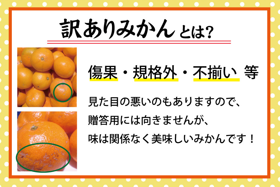 【訳あり】農家直送 有田みかん 約7.5kg ご家庭用 サイズ混合 ※2025年11月中旬より順次発送予定（お届け日指定不可）※北海道・沖縄・離島への配送不可 訳ありみかん みかん ミカン 蜜柑 柑橘 フルーツ 果物 くだもの 温州みかんサイズ混合 訳ありみかん 温州みかん 有機質肥料100% ふるさと納税 柑橘 有田 産地直送【nuk157E】