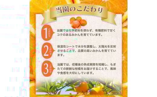 【2026年12月発送】＼光センサー選別／農家直送 【家庭用】こだわりの有田みかん　約5kg＋150g(傷み補償分) みかん ミカン 有田みかん 温州みかん 柑橘 有田 和歌山 ※北海道・沖縄・離島配送不可/みかん ミカン 有田みかん 温州みかん 柑橘 有田 和歌山 産地直送【nuk160-12D】