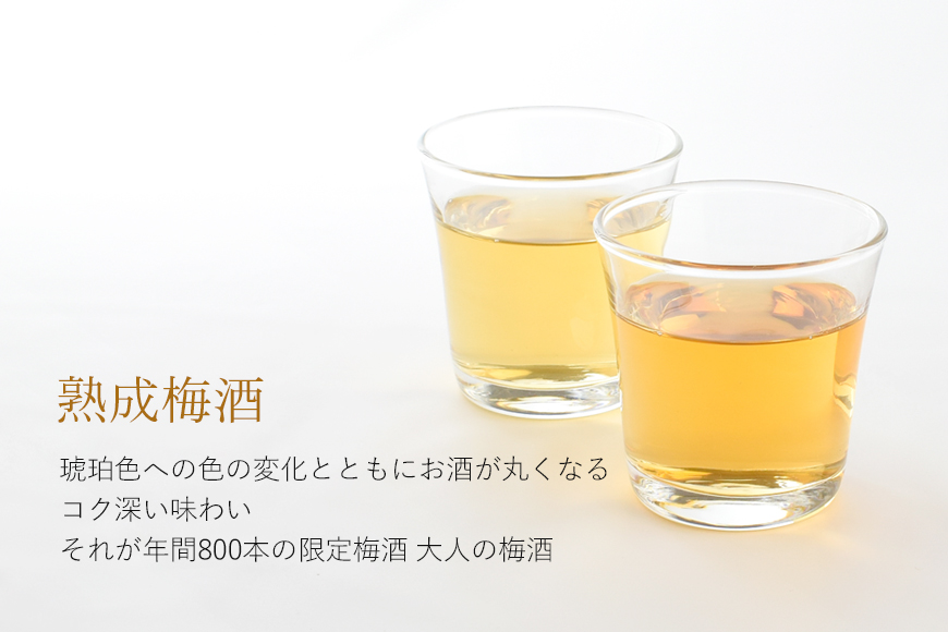 3年熟成 幻の梅酒 熊野伝説720ml 【黒】【prm025】