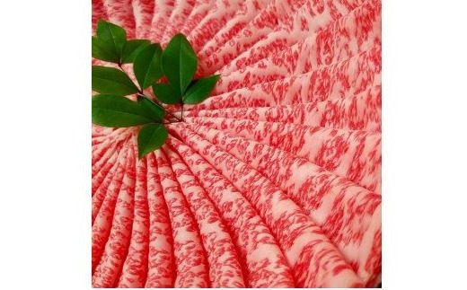 希少和牛 熊野牛ロース すき焼き用 約500g ＜冷蔵＞ すき焼き 牛肉 肉 赤身 ロース 和牛 【sim100A】