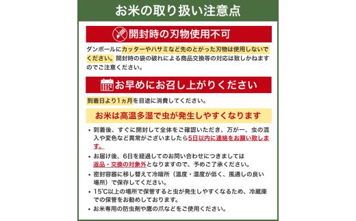 和歌山県産 キヌヒカリ 2kg（2025年産） / お米 きぬひかり 白米 令和7年 人気 おすすめ ※2025年9月中旬より順次発送予定【sml138】 