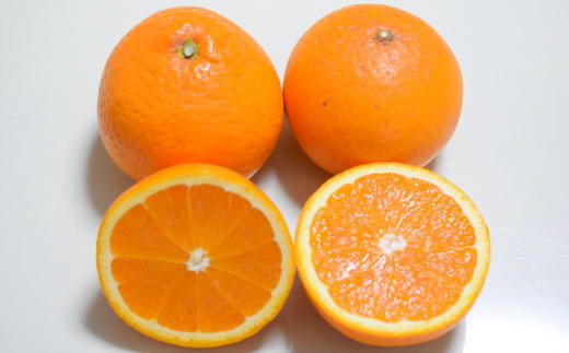 【産直】有田産清見オレンジ 約7.5kg（訳あり家庭用サイズおまかせまたは混合） ※2026年2月上旬～2026年3月下旬頃頃次発送予定（日付指定不可）【tec867A】