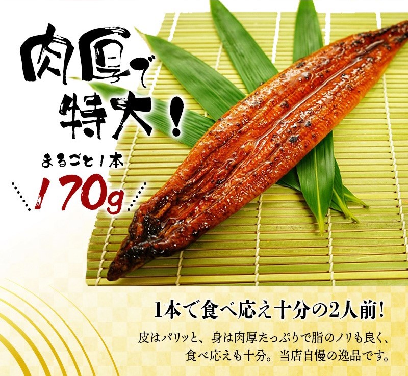 【大型サイズ】ふっくら柔らか 国産うなぎ蒲焼き 3尾/うなぎ ウナギ 鰻 うなぎ蒲焼 国産【uot303A-3】