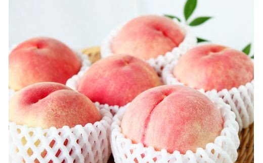 紀州和歌山産の桃　約4kg　化粧箱入 ※2026年6月下旬頃〜2026年8月上旬頃順次発送（お届け日指定不可）【uot723A】