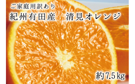 【ご家庭用訳アリ】紀州有田産清見オレンジ7.5kg サイズお任せ ※2026年3月下旬頃〜2026年4月中旬頃に順次発送予定(お届け日指定不可) 【uot730】【uot730】