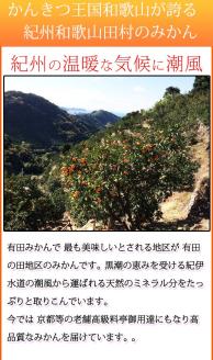 【ご家庭用訳あり】田村みかん　5kg ※2024年11月下旬頃～2025年1月下旬頃発送(お届け日指定不可)【uot754A】