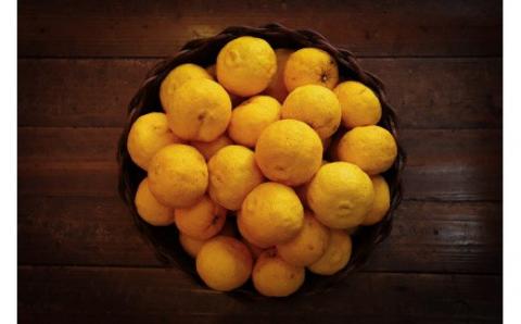 柚香　300ml　2本 ゆず 柚子 柚 ユズ【yuz114】