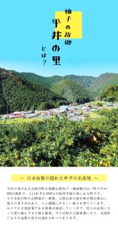 古座川町の しそジュース 300ml 3本 しそ シソ 紫蘇 ドリンク 和歌山【yuz137A】