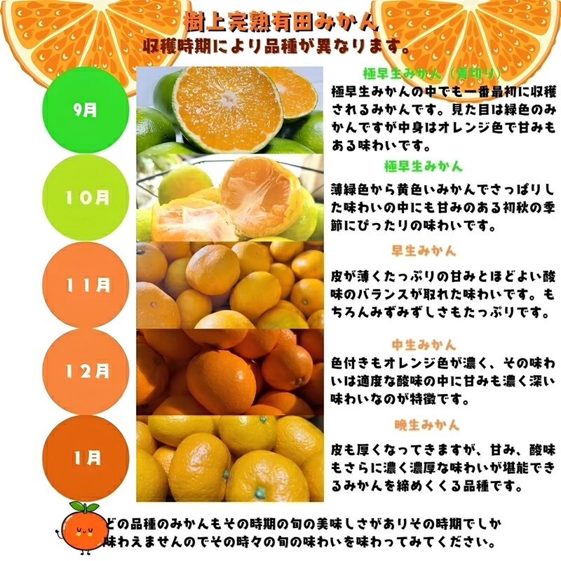 【2026年10月中旬～11月中旬頃に順次発送予定】有田育ちのご家庭用完熟 有田みかん 約5kg＋200g （傷み補償分）【ard186D-10】