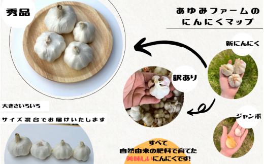 秘境の地からお届けする あゆみファームの乾燥にんにく １kg【2025年6月中旬以降順次発送】/ にんにく ニンニク 訳あり 予約受付 ガーリック 和歌山【aym007】