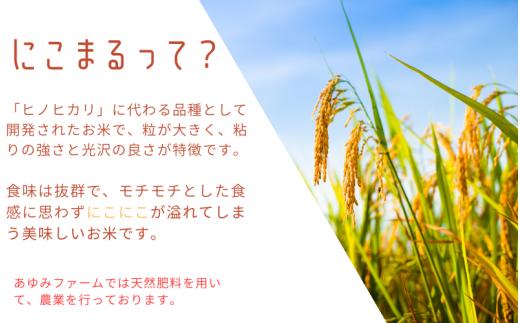 秘境の地からお届けする あゆみファームのお米 にこまる 10kg【2025年10月下旬以降順次発送】/ 米 お米 にこまる 10kg 精米 和歌山【aym014】
