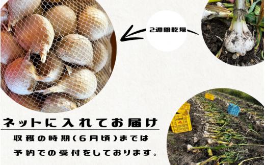 令和７年度産 秘境の地からお届けする あゆみファームのご家庭用ジャンボにんにく 5kg【7月下旬から順次発送】/ にんにく ニンニク ジャンボにんにく 予約受付 ガーリック 和歌山【aym017】