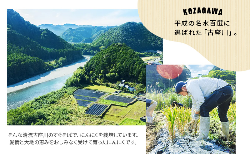 古座川町の恵みが育んだ ご縁座の乾燥にんにく 500g / にんにく 乾燥にんにく ガーリック【gnz107】