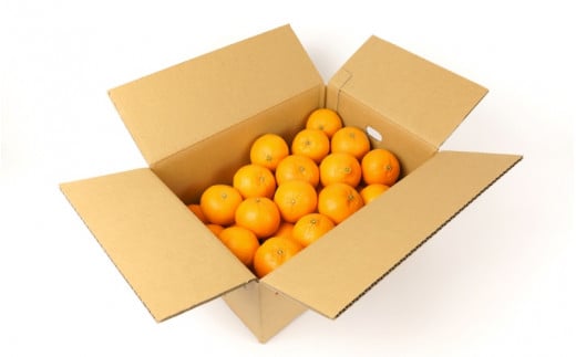 【先行予約】希少種みかん はれひめ 約5kg(25個～30個) 秀品 2025年12月中旬～2026年2月初旬頃に順次発送予定（お届け日指定不可）/ 和歌山 みかん はれひめ フルーツ 柑橘 蜜柑 果物 くだもの【kgr004A】