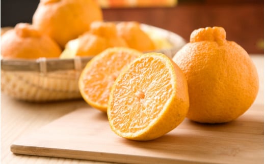 【先行予約】【数量わずか】樹上完熟しらぬい（不知火） 約2kg(6個) 秀品2026年2月下旬～2026年4月中旬頃に順次発送予定（お届け日指定不可）/ 和歌山 みかん しらぬい 不知火 フルーツ 柑橘 蜜柑 果物 くだもの【kgr005】