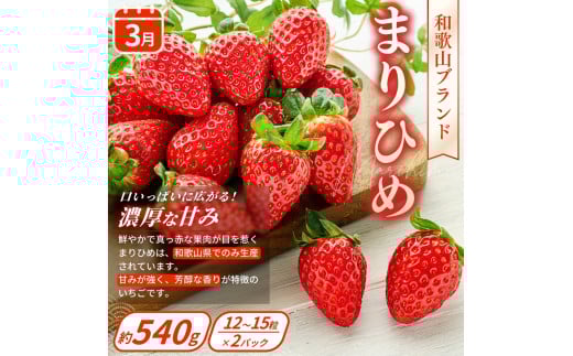 【定期便4回】フルーツ王国かつらぎ町よりお届け！旬のフルーツ定期便【kgr025】