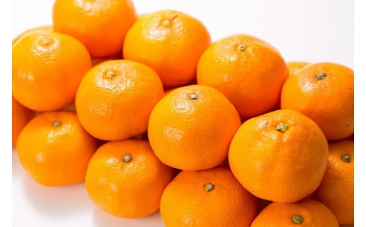 田村みかん 5kg 秀品【小玉サイズ】/紀州和歌山有田郡湯浅町田村地区産 ◆2026年11月下旬～2027年1月中旬頃に順次発送予定(お届け日指定不可)　紀伊国屋文左衛門本舗【kztb306B】