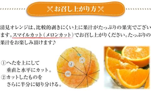 田村産清見オレンジ[約4.5kg]湯浅町田村産春みかん(果実サイズおまかせ)/紀伊国屋文左衛門本舗　※2026年3月中旬～4月下旬頃発送予定【kztb492A】