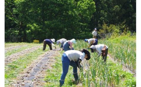 【ふるさと納税】熟成黒にんにく 400g (200g×2袋） 甘くまろやかでおいしい黒ニンニク【mnr100】