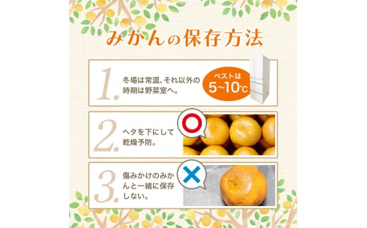 【2027年1月発送予約分】＼光センサー選別／農家直送 こだわりの有田みかん 約4kg+150g（傷み補償分） 【ご家庭用】【1月発送】みかん ミカン 有田みかん 温州みかん 柑橘 有田 和歌山 ※北海道・沖縄・離島配送不可/みかん ミカン 有田みかん 温州みかん 柑橘 有田 和歌山 産地直送【nuk148-01A】