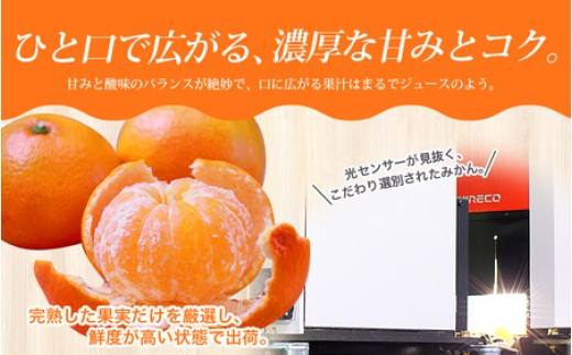 ＼光センサー選別／極 有田みかんプレミアム 約2kg【光センサー 高糖度選別品】2S～Lサイズ 有機質肥料100% ※2026年11月～2027年1月に順次発送予定 ※北海道・沖縄・離島への配送不可 【nuk154G】