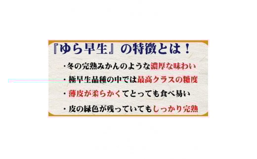 濃厚な味わい ご家庭用 ゆら早生みかん　約4kg　サイズ混合  希少品種《有機質肥料100％》※2026年10月～11月に順次発送予定【nuk162B】