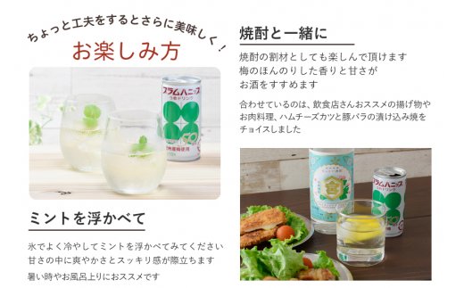 プラムハニップ１ケース（30本）    【prm004A】