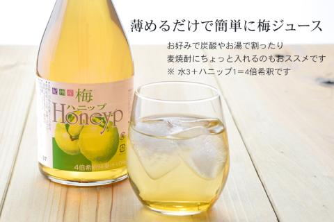 希釈用梅ドリンク 梅ハニップ 完熟梅ハニップ 各3本セット【prm022A】