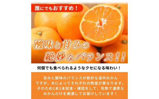 【先行予約】紀州有田産 濃厚完熟 温州みかん 5kg ※2026年11月下旬～2027年1月下旬頃に順次発送予定 / みかん ミカン 蜜柑 温州みかん 柑橘 フルーツ 果物 くだもの 和歌山【uot006】