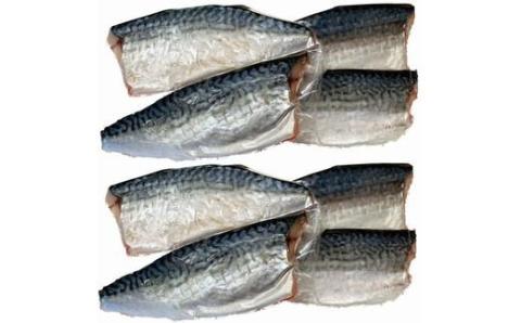 塩さばフィレ14枚入（真空パック入）【uot403B-1】