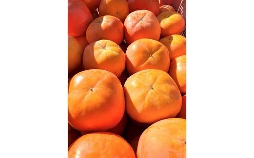 【2026年発送分予約】【ご家庭用わけあり】和歌山秋の味覚　平核無柿（ひらたねなしがき） 約7.5kg　※2026年10月上旬頃〜11月上旬頃に順次発送（お届け日指定不可）【uot718A】