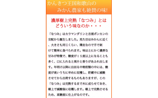 初夏のみかん　なつみ3kg　※2026年4月中旬頃～2026年4月下旬頃に順次発送（お届け日指定不可）【uot753A】
